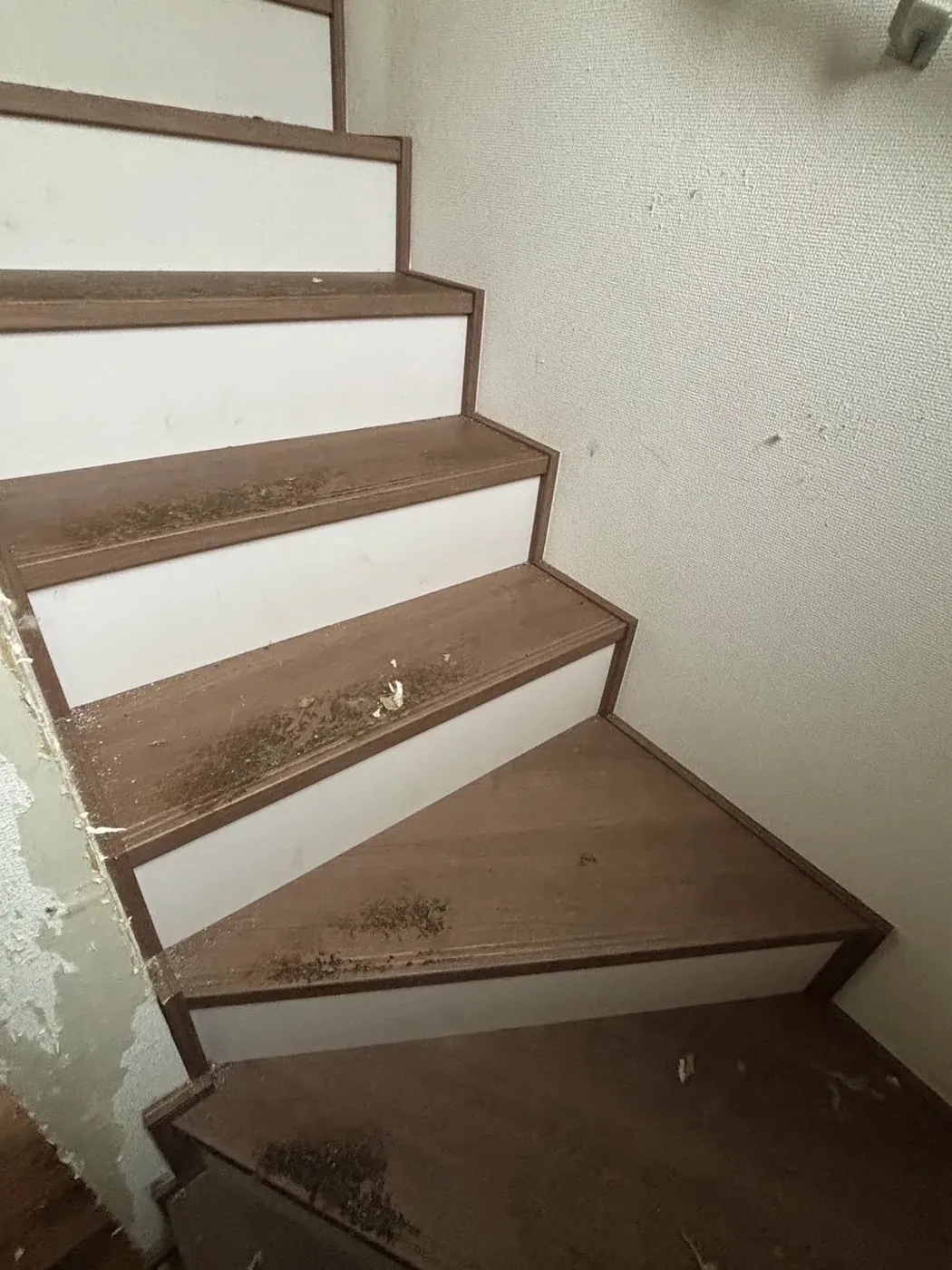 作業前の階段。踏み板に汚れが付着している